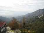 IMG_7390w.JPG