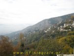 IMG_7392w.JPG